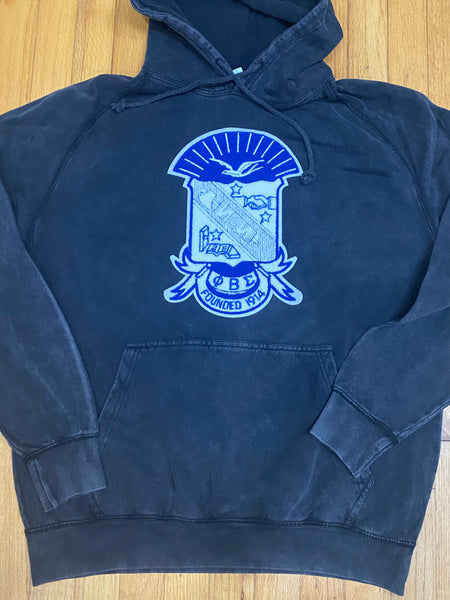 D9 - Vintage Washed Chenille Crest Hooded Sweatshirt